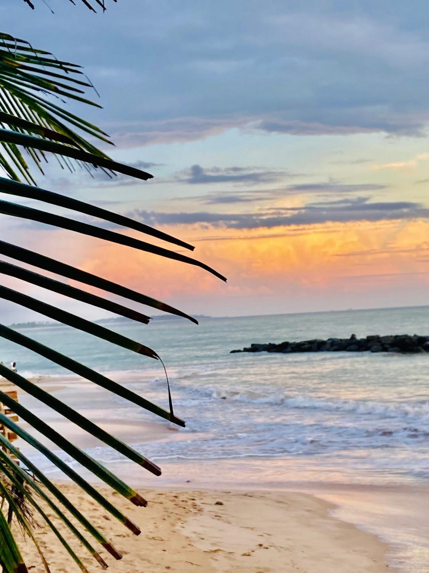 Mountain Seaview Cabanas Hotel Tangalle Exterior photo