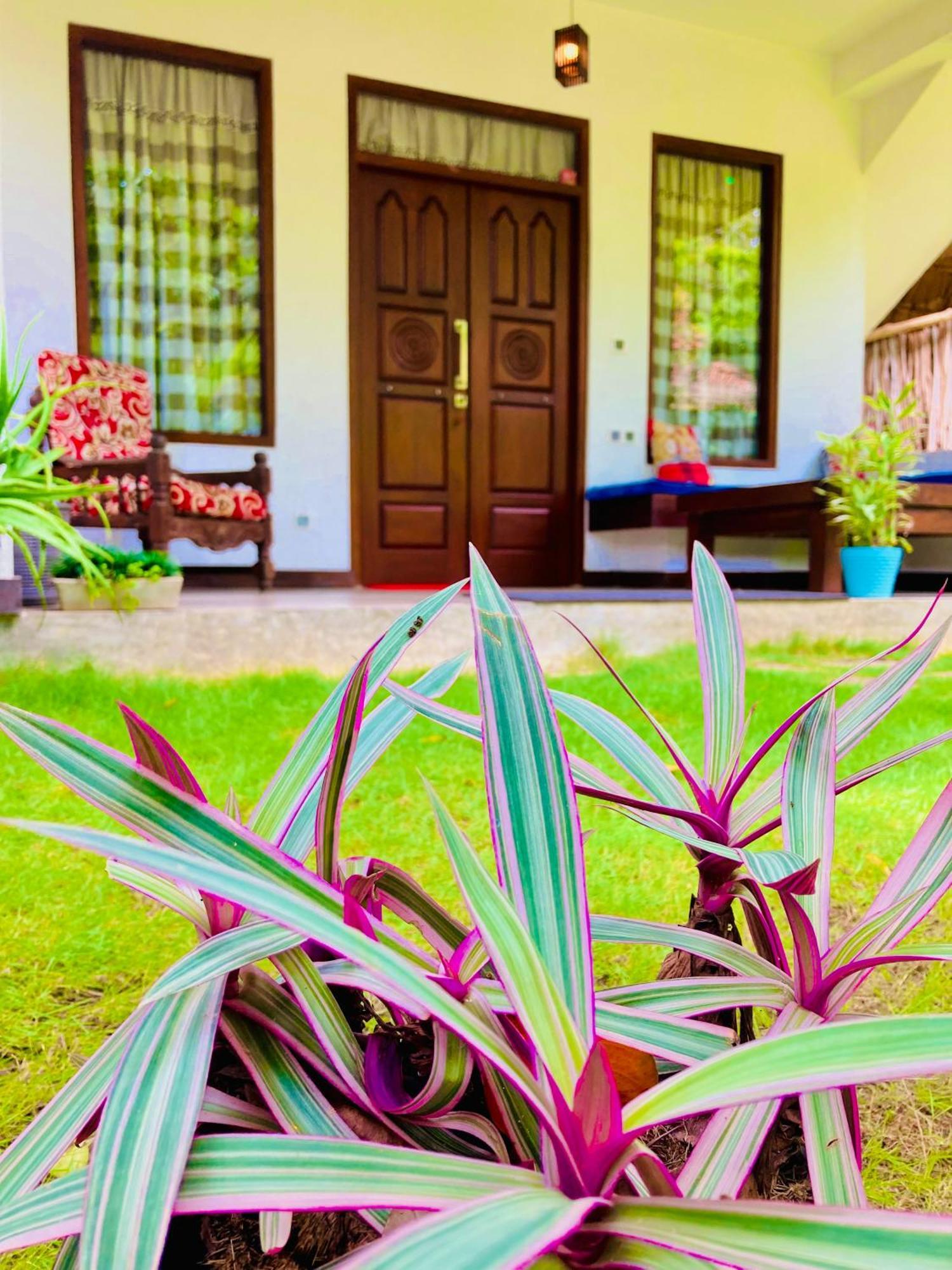 Mountain Seaview Cabanas Hotel Tangalle Exterior photo